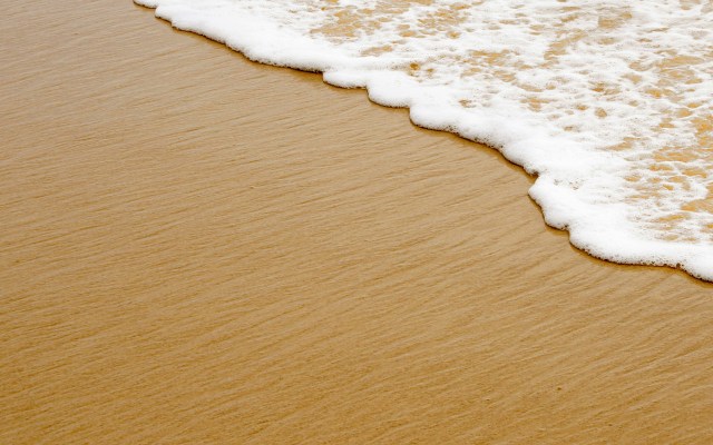 Eu e minha bolsa coletora andamos muito por aí
